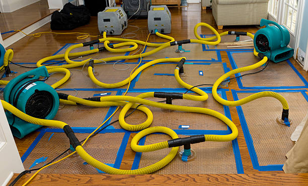 Professional Crawl Space Water Removal technician working in Cutler, CA